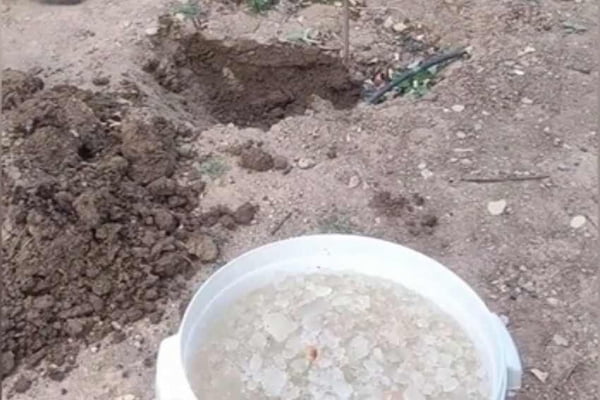 تصویر 3 از خرید و قیمت عمده ژل جاذب آب با ارسال سریع و شرایط ویژه